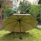 Jainsons Digital Print Luxe 3 Fold Umbrella | Flora Off White| Timeless Art