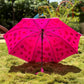 Jainsons Kids Magic Series Umbrella | Colour Changing Umbrella