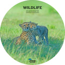 JAG Wildlife Series Exotic Umbrella | Inspired By The Forest