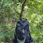 JAG Aranya 45L Alpine Backpack | Limited Edition | Air Flow Back Support | Twin Aluminium Rods + Mesh | Desert Fawn