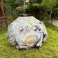 Jainsons Digital Print Luxe 3 Fold Umbrella | Flora Off White| Timeless Art