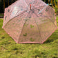 Jainsons Transparent Long Umbrella with Frill | Pink