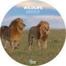 JAG Wildlife Series Exotic Umbrella | Inspired By The Forest