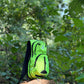 JAG Hydra 9L Hydration Bag and Backpack for Trail Running and Cycling | 9 Litres (Without Bladder)
