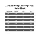 JAG F-65 Hiking & Trekking Shoes | Trekking Shoes | Shoes for Snow, Trekking, Hiking, Running and Walking | Colour: Grey