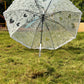 Jainsons Transparent Long Umbrella with Fril | White