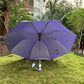 Jainsons Mono Silver 2 Fold Umbrella | Magenta