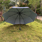 Jainsons Digital Print Luxe 3 Fold Umbrella | Butterfly | Timeless Art