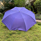 Jainsons Mono Silver 2 Fold Umbrella | Magenta