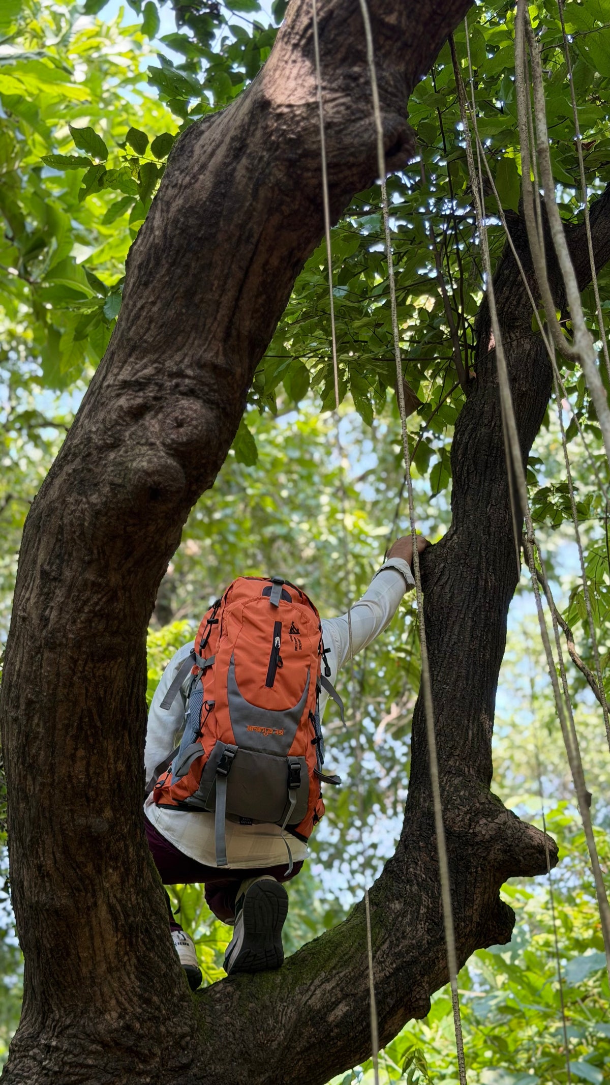 JAG Aranya 45L Alpine Backpack | Limited Edition | Air Flow Back Support | Twin Aluminium Rods + Mesh | Desert Fawn