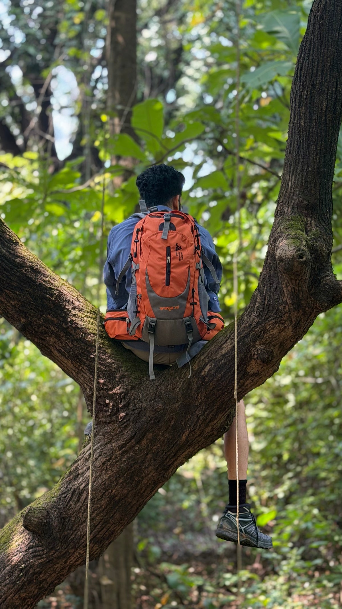 JAG Aranya 45L Alpine Backpack | Limited Edition | Air Flow Back Support | Twin Aluminium Rods + Mesh | Desert Fawn