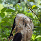 JAG Aranya 45L Alpine Backpack | Limited Edition | Air Flow Back Support | Twin Aluminium Rods + Mesh | Desert Fawn