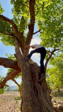 JAG Phantom Hiking & Trekking Pant | 7 Pocket Design | Quick Dry | 100% Breathable Fabric | Unisex Design