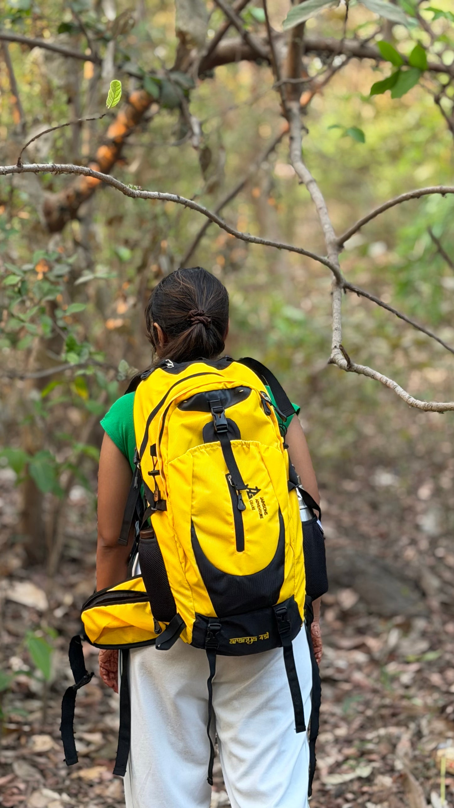 JAG Aranya 45L Alpine Backpack | Air Flow Back Support | Twin Aluminium Rods + Mesh | Solar Flare