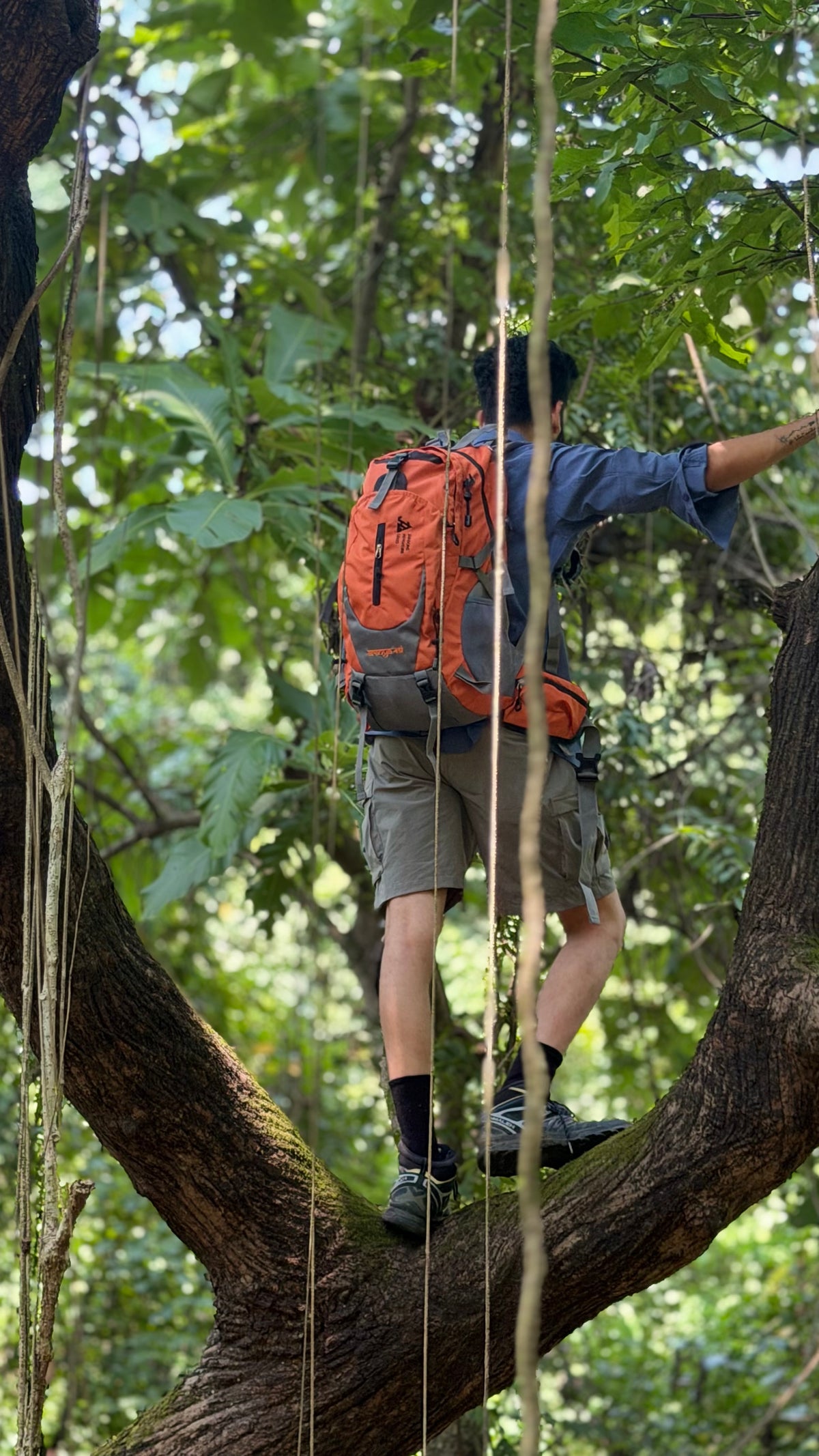 JAG Aranya 45L Alpine Backpack | Limited Edition | Air Flow Back Support | Twin Aluminium Rods + Mesh | Desert Fawn