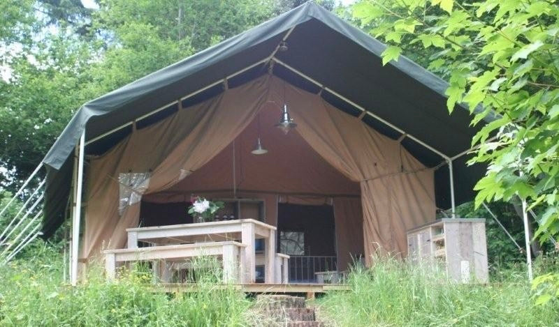 Jungle Safari Luxury Tents