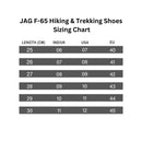 JAG F-65 Hiking & Trekking Shoes | Trekking Shoes | Shoes for Snow, Trekking, Hiking, Running and Walking | Colour: Navy Blue