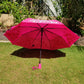 Jainsons Colour Changing Umbrella | 3 Fold | Jumbo Size | Magic Series