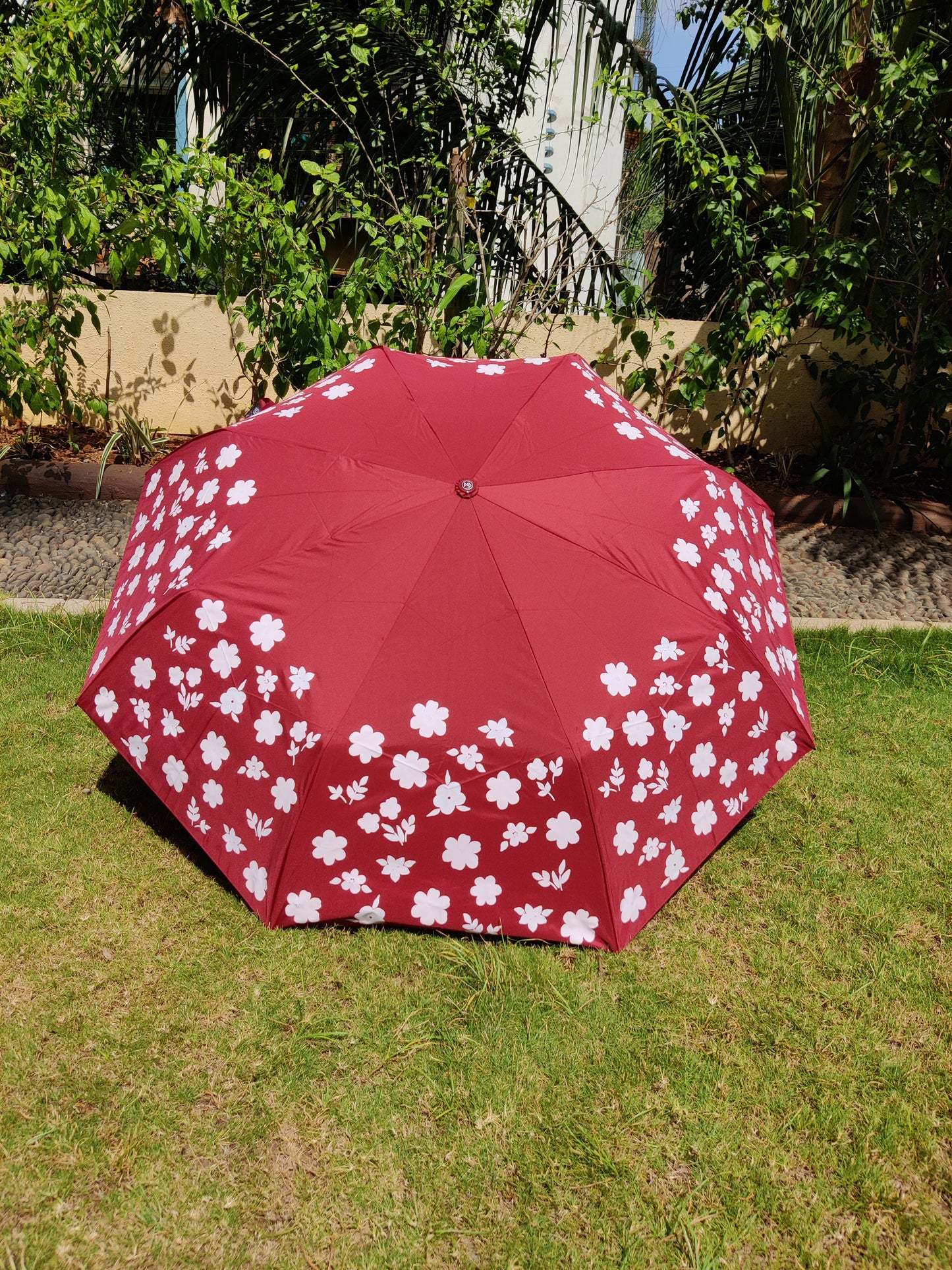 Jainsons Colour Changing Umbrella | 3 Fold | Jumbo Size | Magic Series