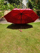 Jainsons Colour Changing Umbrella | 3 Fold | Jumbo Size | Magic Series