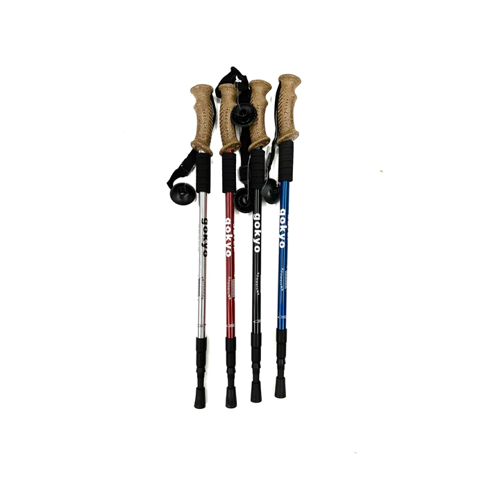 Shock absorbing online hiking pole