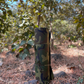 Foam Sheet Sleeping Mat | Camouflage Print