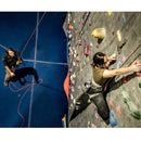 Edelrid Bud Descender - Royal