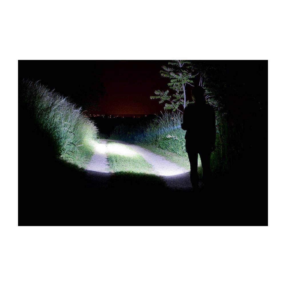 Coleman Divide+ 200 LED Flashlight Batterylock