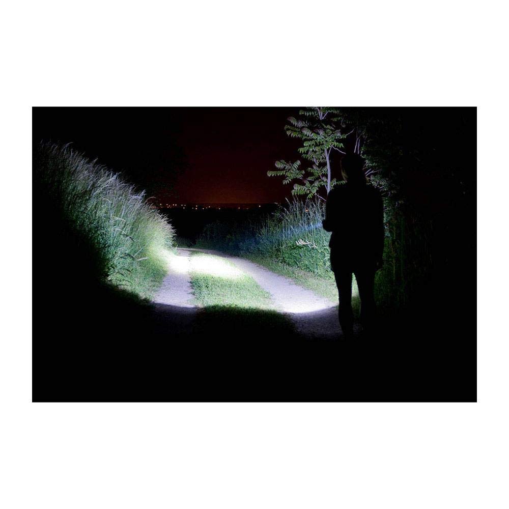 Coleman Divide+ 200 LED Flashlight Batterylock