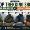 Top Trekking Shoes for Beginners vs Advanced Trekkers & A Guide by Skill Level